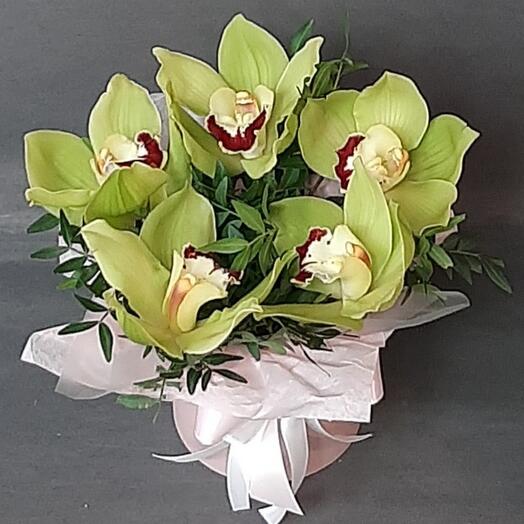 Орхидеи в коробке️️️👍🌹