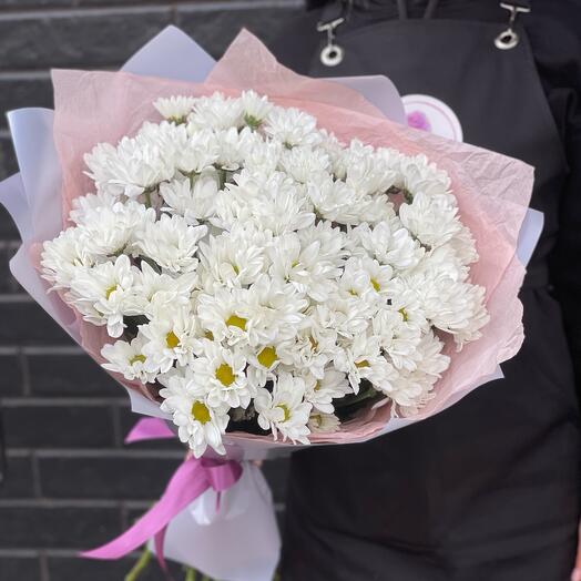 Daisies in pink