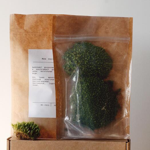 Musgo vivo para florarios \ ecosistemas