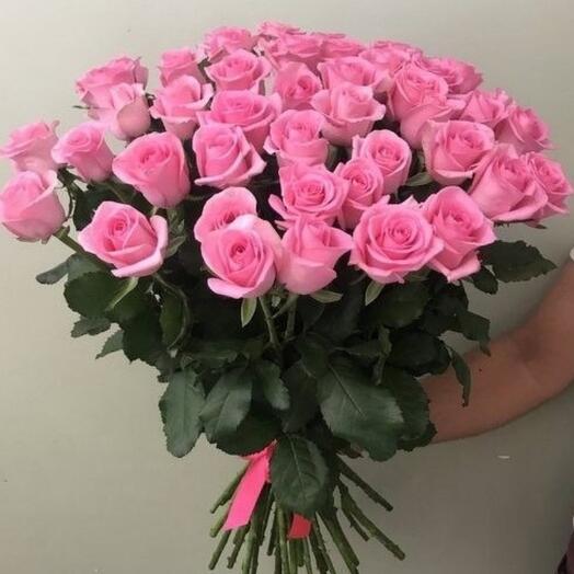 Rose Revivalist