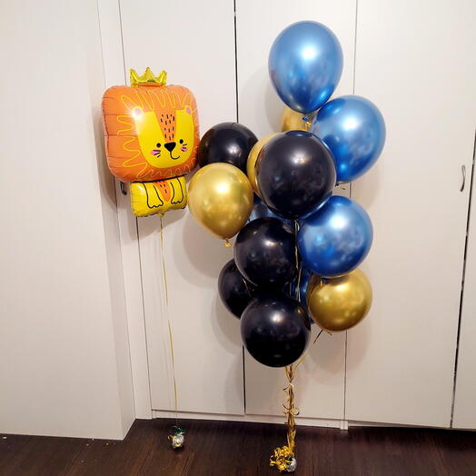 A lion and 20 balls. A set of Lion Cub balls
