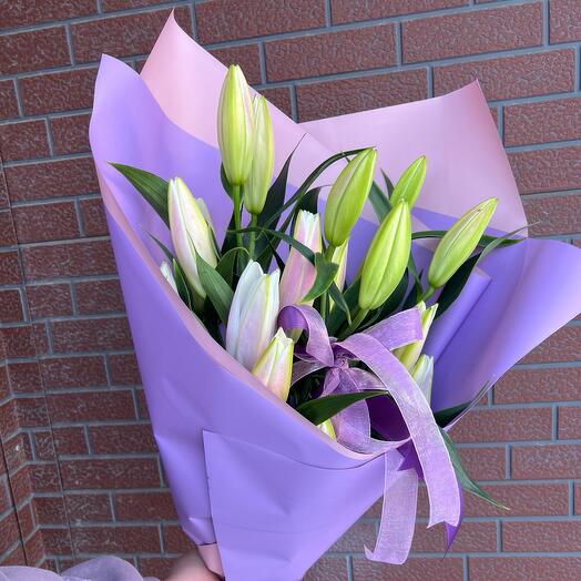 The pink lily