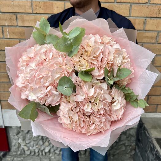 Pink delicate hydrangeas with eucalyptus