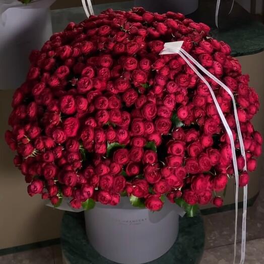 Пионовидные розы бордовые