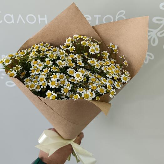 Охапка ромашек (21)