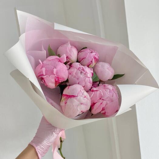 Пионы Sara Bernar 7 WOW