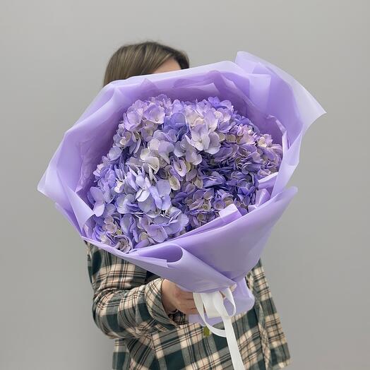 Ramo de Hortensias