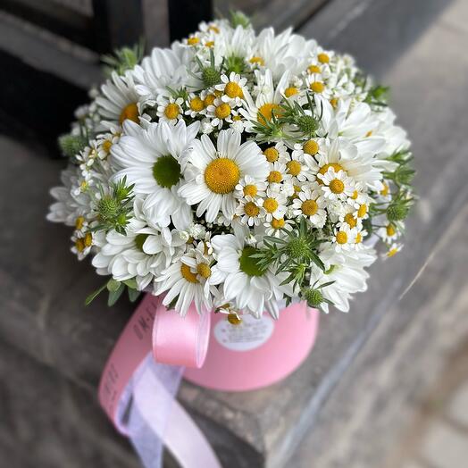 Коробка с ромашками