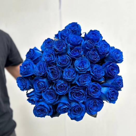 35 синих импортных роз Эквадор
