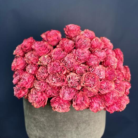 Peony rose country blues Ecuador 51 pieces
