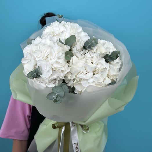 Hydrangea bouquet