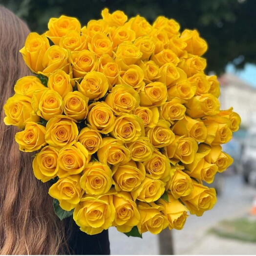 Sarı rosa