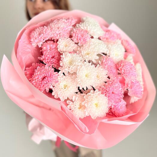 Chrysanthemum mix