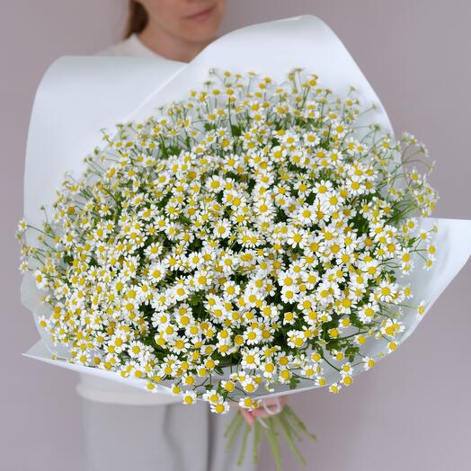 Милый букет N 38 из 25 ромашек💛
