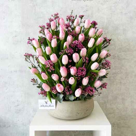 Tulip pink