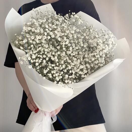 Гипсофила белая 🤍