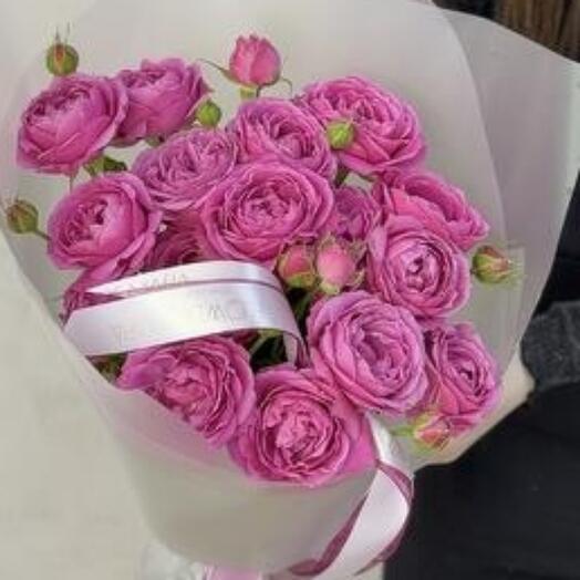 Мисти Баблс