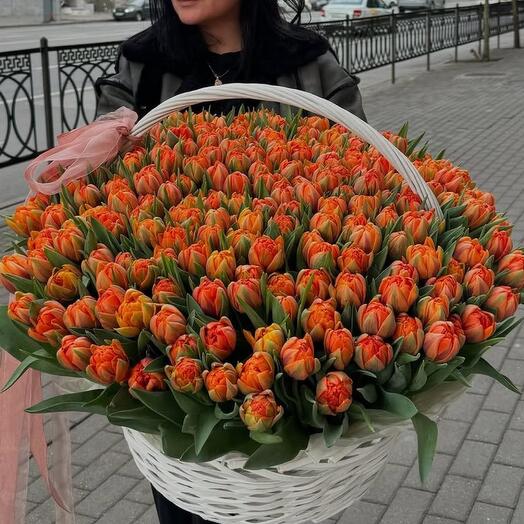 Корзина из 301 пионовидного тюльпана