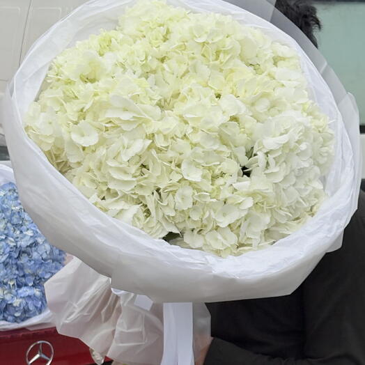 Premium hydrangea, white bouquet