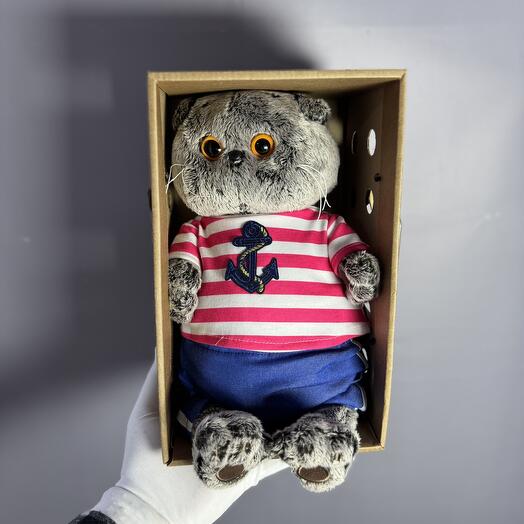 Басик «мотрос»