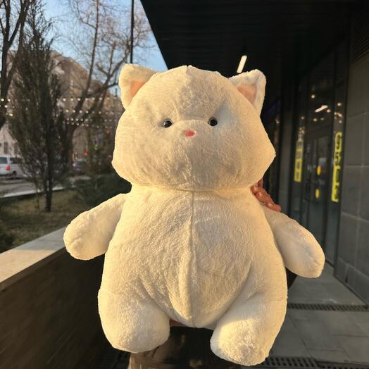 Белый кот Карапуз