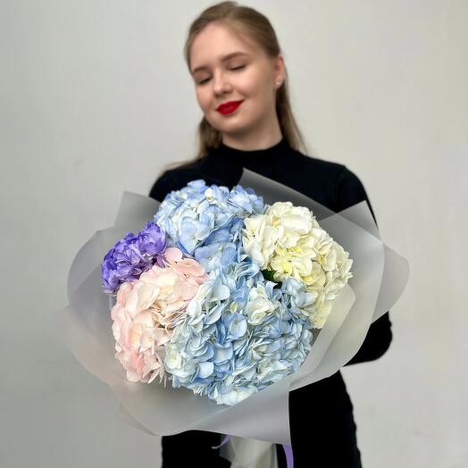 Букет разноцветных гортензий, 5 шт