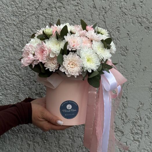 Chrysanthemum in a box