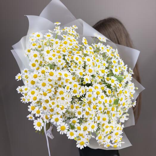 Ромашки (25 веток) 🤍🌼