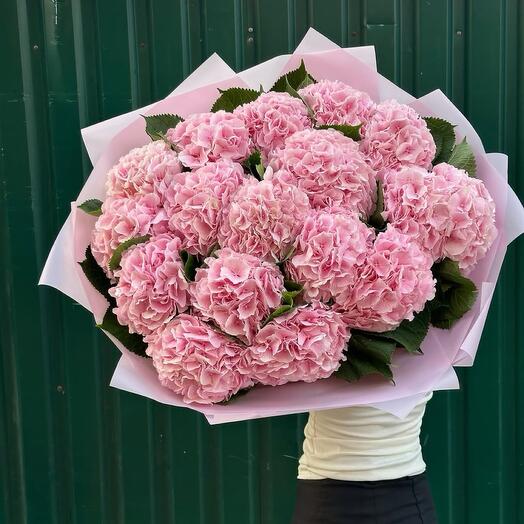 Букет из 19 розовых Голландских Гортензий