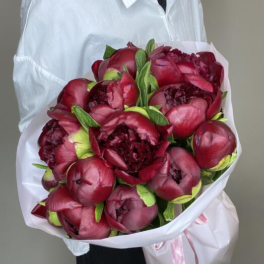Бордовые пионы