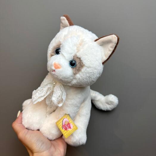 Котик с бантиком