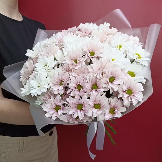 11 нежных кустовых хризантем