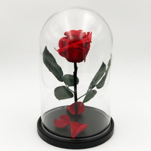 Роза в колбе красная