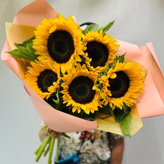 Солнечные подсолнухи 🌻
