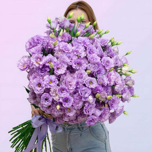 51 сиреневая эустома