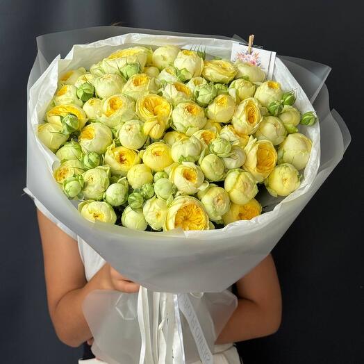 Пионовидная Кустовая Пиони