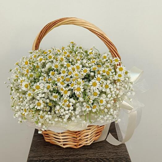 Корзина ромашек🌼