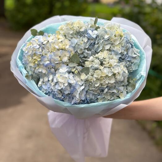 21 rosa 60 cm