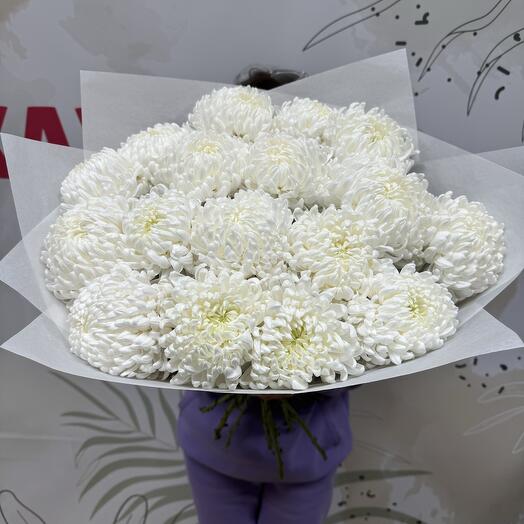 17 одноголовых хризантем