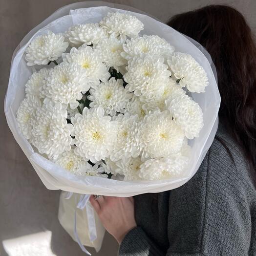 Mono of snow-white chrysanthemums
