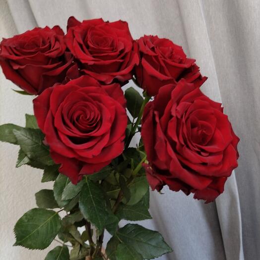 Страсть♥️🌹