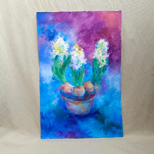 Белые гиацинты в горшке