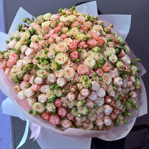 Пионовидная  роза мадам бомбастик