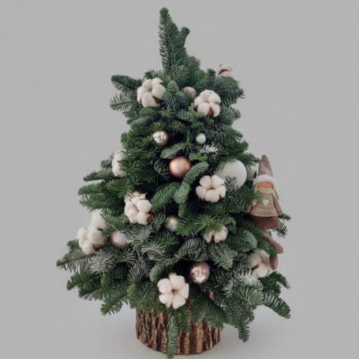 Живая Елка 🌲Елка из нобелиса Новогодняя композиция Новогодний подарок Корпоративный Новый Год Нобелис