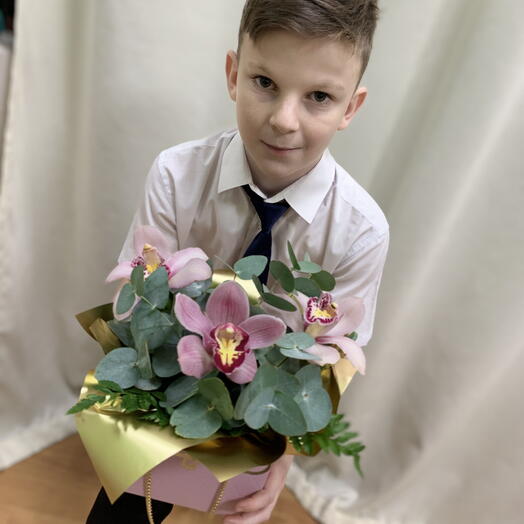 Милые орхидеи