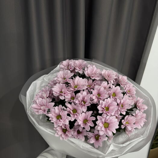 Хризантемы розовые