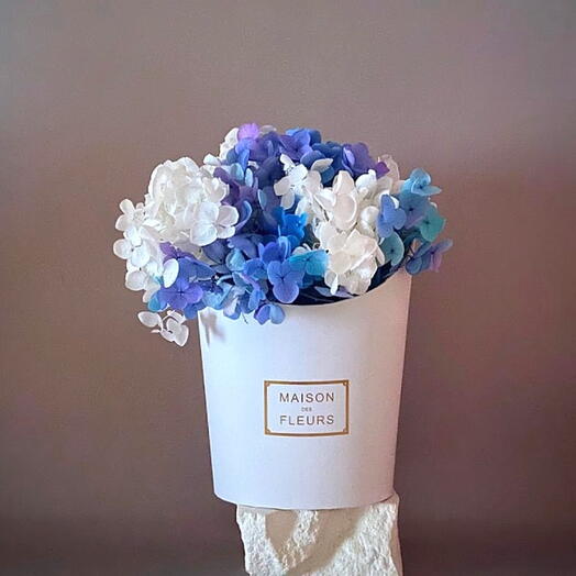 Голубая гортензия