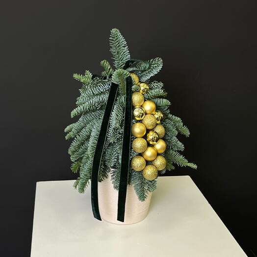 Ёлка из нобилиса Зимнее Золото — мини-ёлка с золотистыми игрушками в кашпо