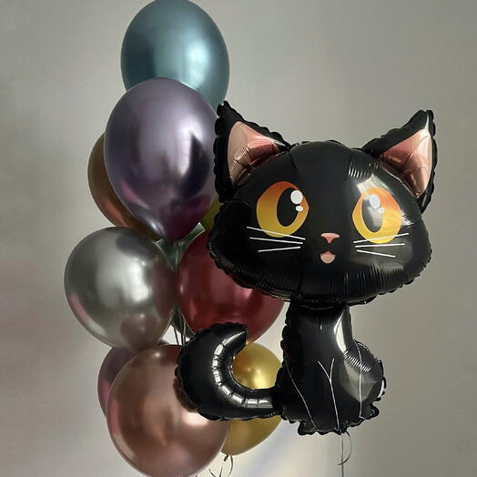 Сет черный котик