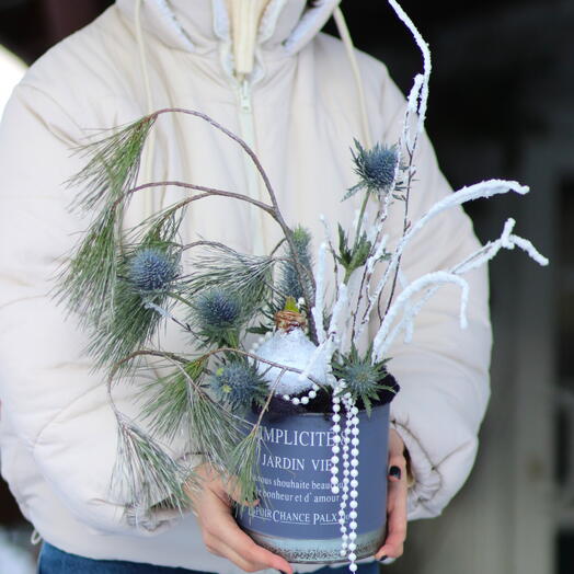 Снежный амариллис